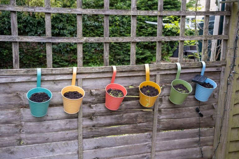 Climbers trellis along