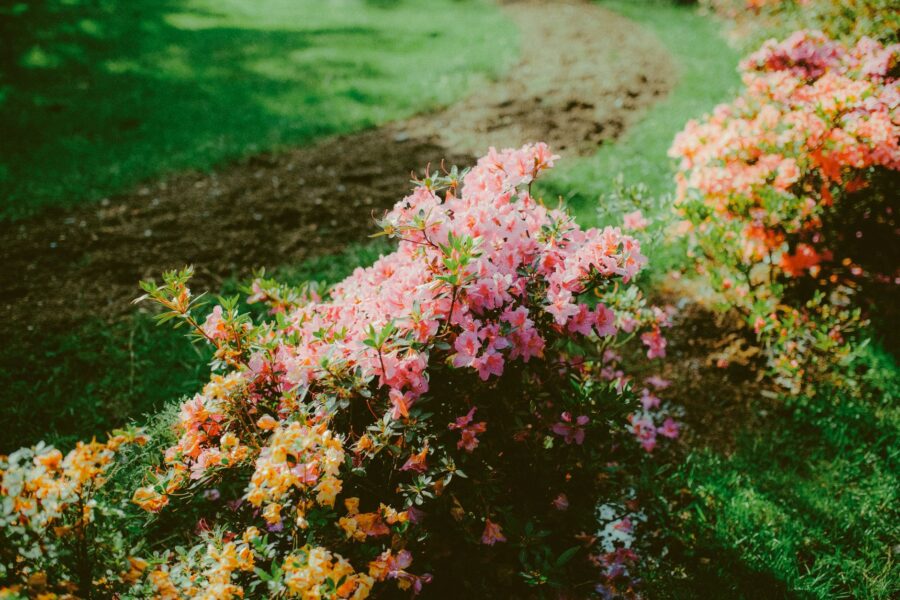Four season garden