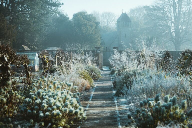 Winter garden border