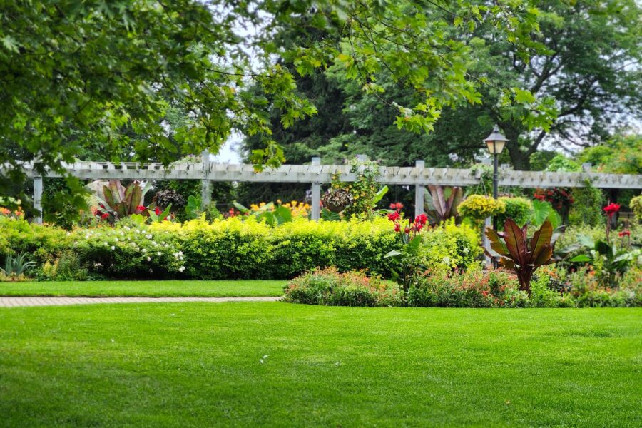 Perennial flower bed