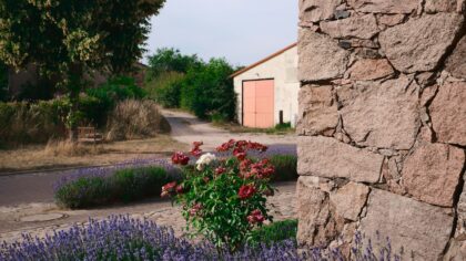 Fragrant border ideas: how to design a scented garden you can enjoy every day