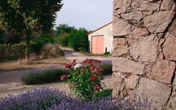 Fragrant border ideas: how to design a scented garden you can enjoy every day
