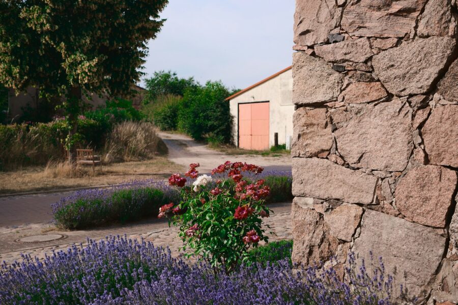 Fragrant flower garden
