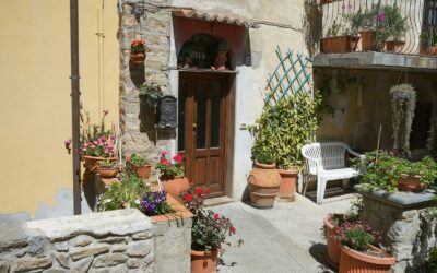 Front door planting ideas that create a welcoming entrance all year