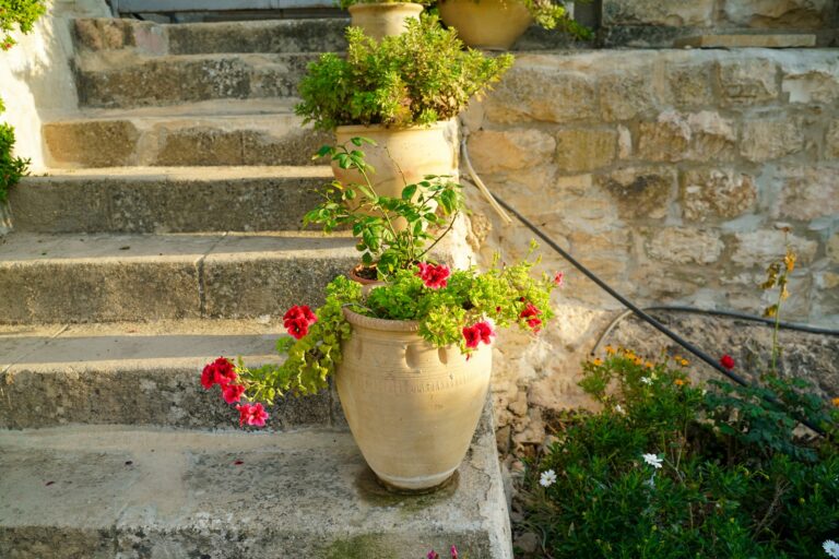 Front steps flower