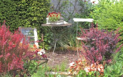 Gravel seating areas that turn small gardens into relaxed outdoor rooms