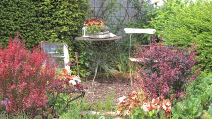 Gravel seating areas that turn small gardens into relaxed outdoor rooms
