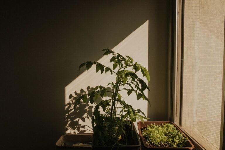 Potted plants heat