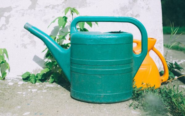 Heat stress in the home garden: how to protect your green space in extreme warmth