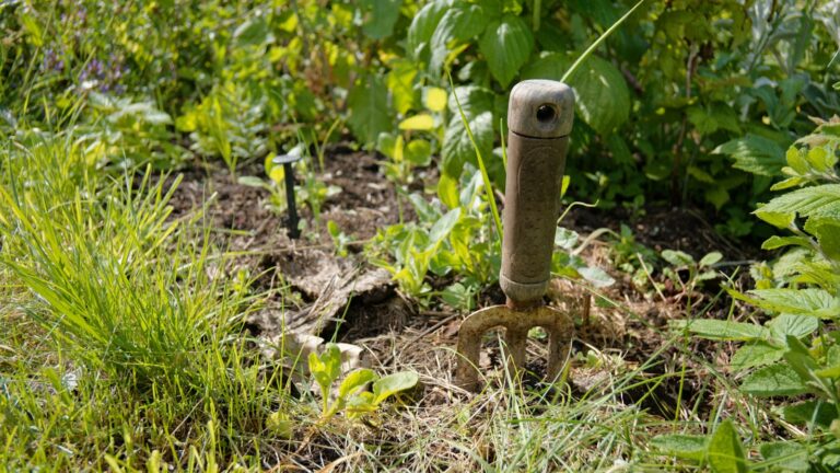Watering can soil