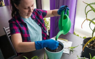 How to avoid underwatering and keep plants consistently hydrated