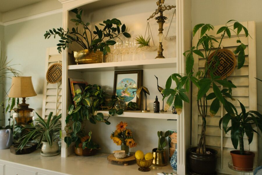 Indoor plants shelf