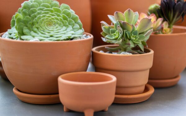How to create a simple drainage setup for thriving indoor plant pots