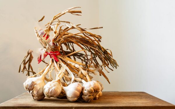 How to grow garlic at home for flavour, health and easy harvests