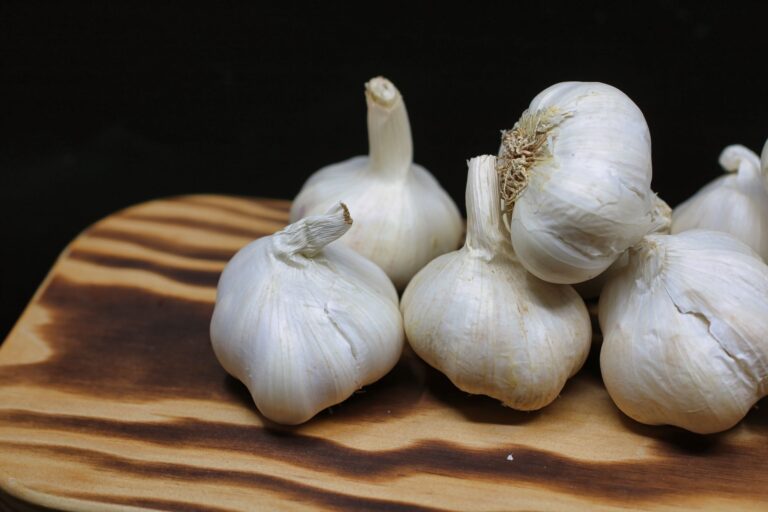 Garlic bulbs hanging