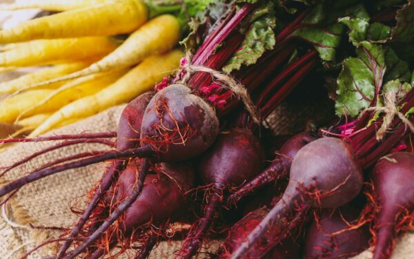 How to grow root vegetables for reliable, cool season harvests