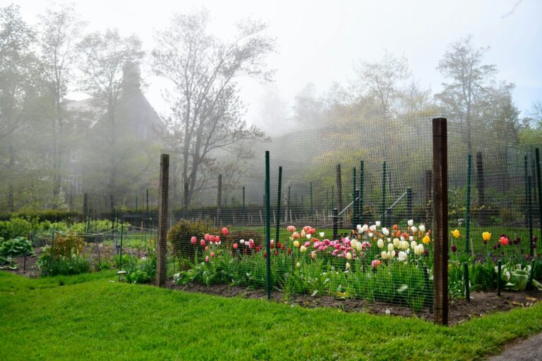 Vegetable bed windbreak