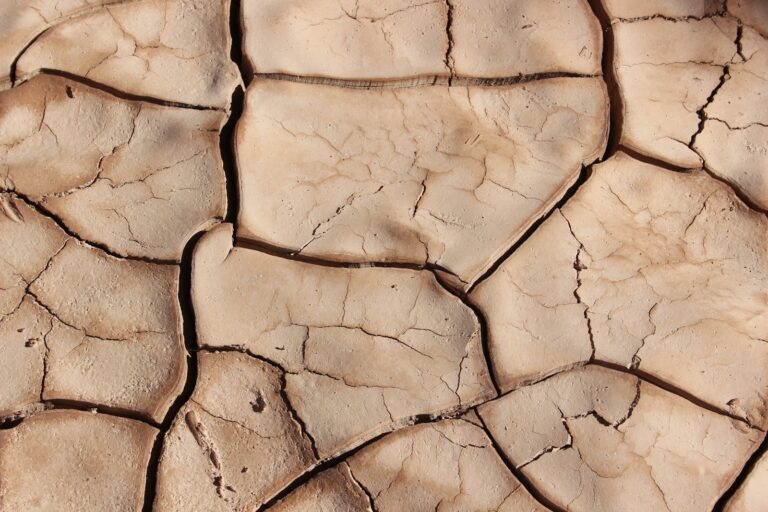 Dry garden soil
