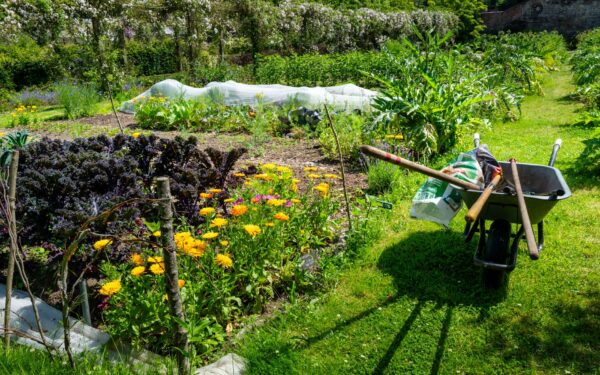 How to use compost in home beds and borders for healthier soil and stronger growth