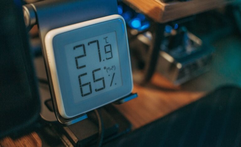 Digital thermometer near