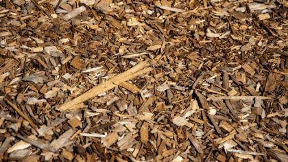 How to use mulch effectively to protect soil and support healthier plants