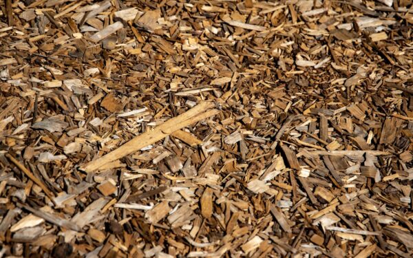 How to use mulch effectively to protect soil and support healthier plants