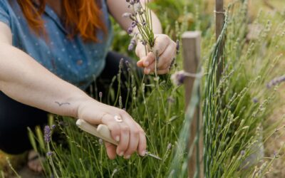 How to use pinching to grow fuller, healthier balcony and garden flowers
