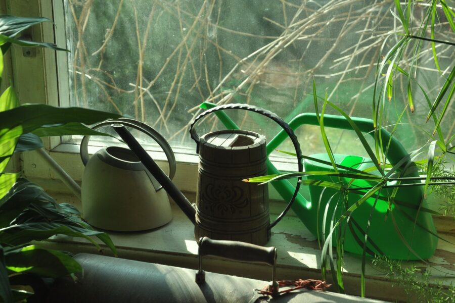 Indoor self watering