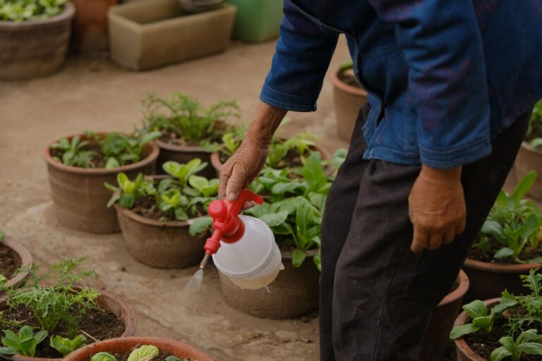 Watering can container