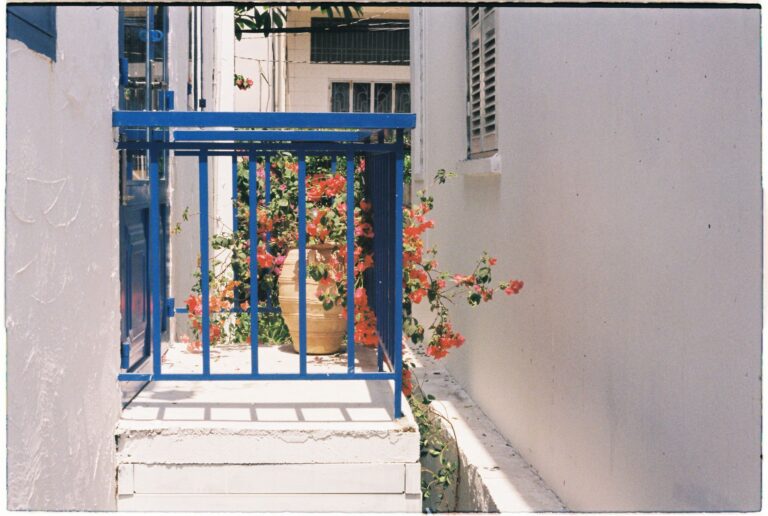 Potted plants balcony