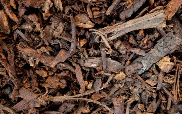 Indoor plant soil explained: how to choose and mix the right potting blend