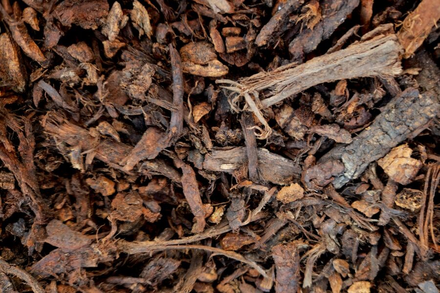 Indoor plant soil