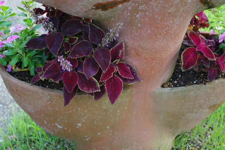 Layered container garden