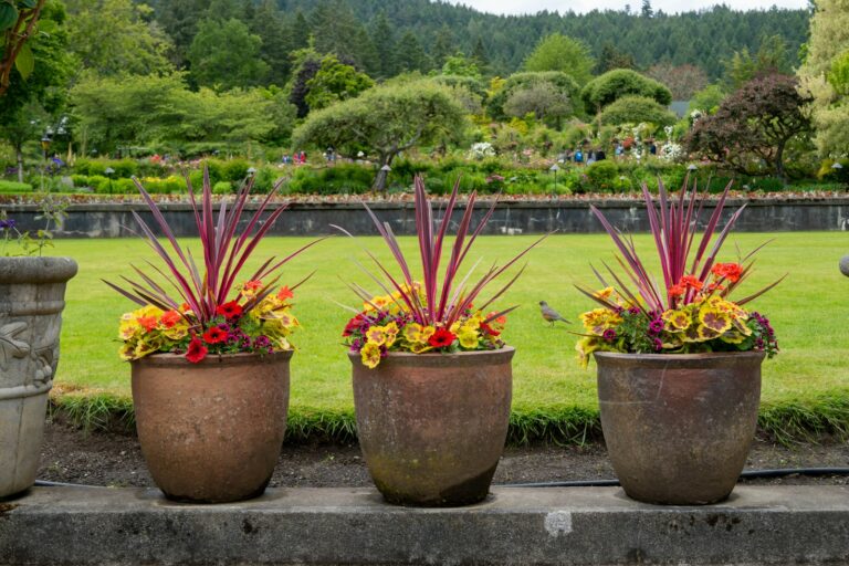 Potted plants patio