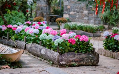 Layered flower bed ideas that give small gardens a rich, full look