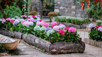 Layered flower bed ideas that give small gardens a rich, full look
