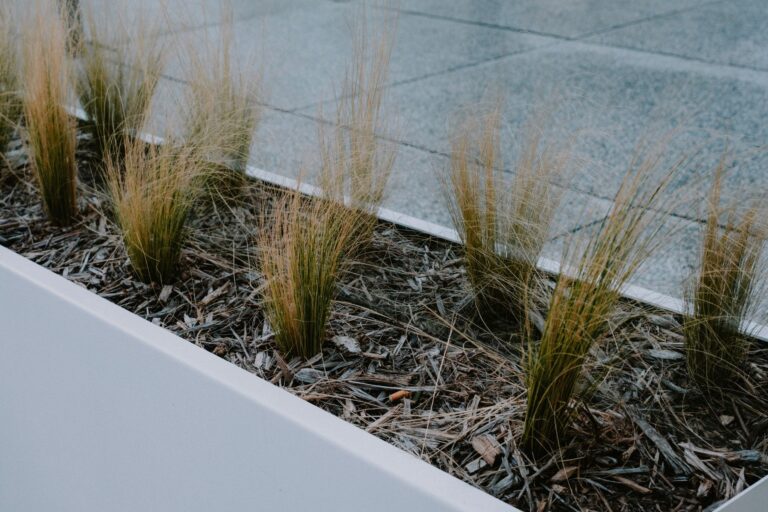 Gravel garden edging