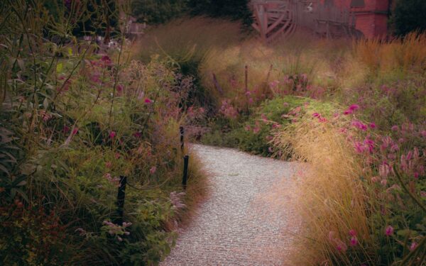Layered gravel paths that bring quiet structure to your garden