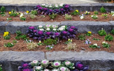 Layered kitchen garden beds for steady home cooking supplies