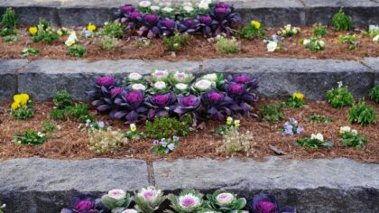 Layered kitchen garden beds for steady home cooking supplies