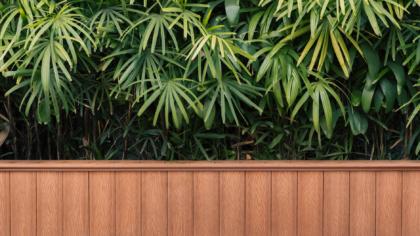 Layered privacy: smart screen ideas that make your yard feel secluded and stylish