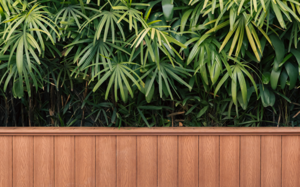 Layered privacy: smart screen ideas that make your yard feel secluded and stylish