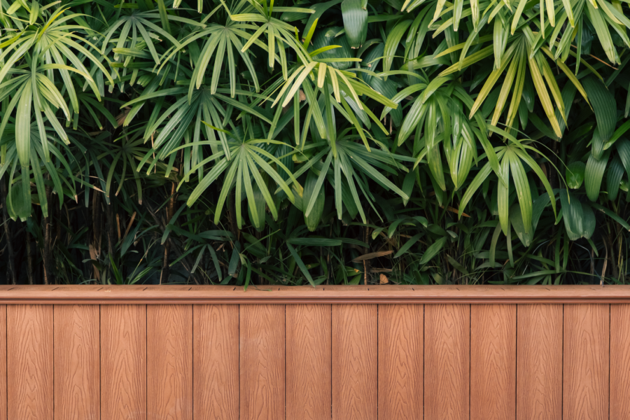 Modern backyard privacy