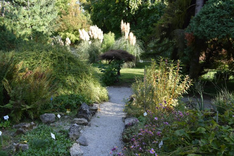 Natural garden path