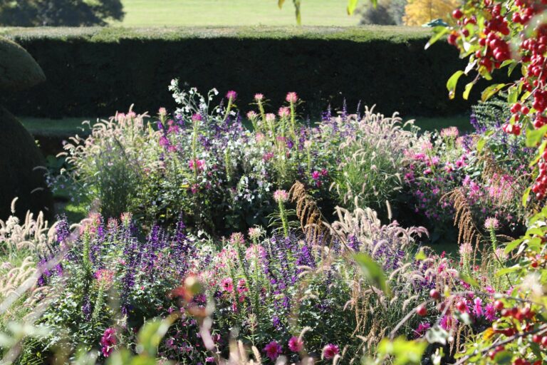 Perennial flower border