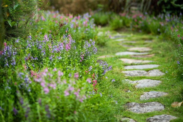 Natural garden path
