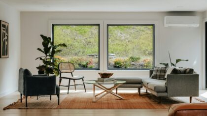 Medium light indoor plants that stay healthy in most homes