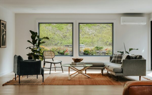 Medium light indoor plants that stay healthy in most homes