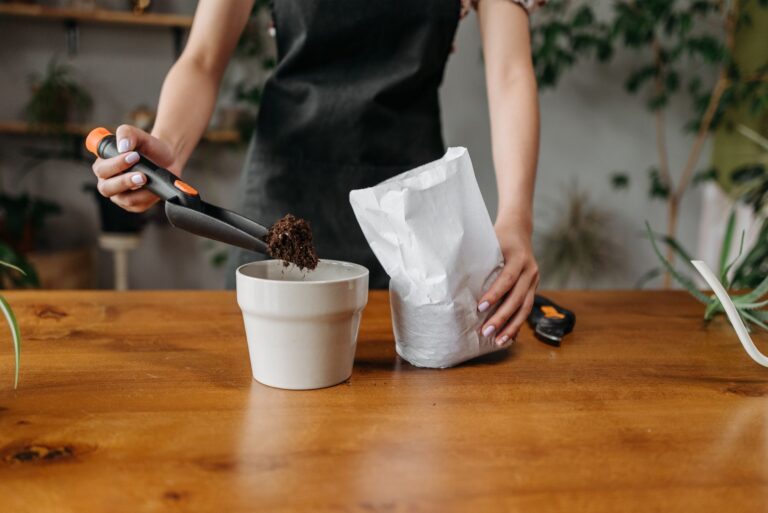 Indoor houseplant potting