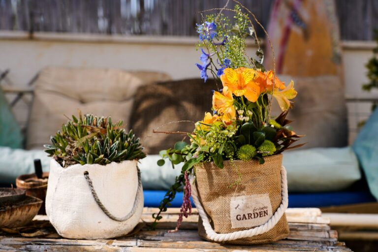 Late summer container